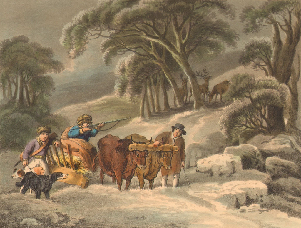 GERMANY. Deer- shooting in Winter. Sledge rifle oxen (Edward Orme)  1814 print